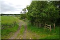 Farm track, Hartwoodburn in TD7 5EY