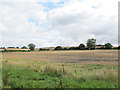 Stubble field near Shadwell in LS17 8TT