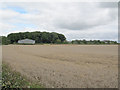 Wheatfield with large barn in LS17 8JH