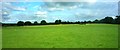 Open fields near Churcham in Churcham