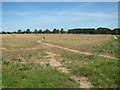 Path from Fishley church to Upton village in NR13 6GN