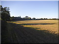 Field at Sale's Farm, Whelpley Hill in HP5 3RS