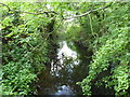 Shell Brook looking east near Shell Brook Farm in WR9 7EQ