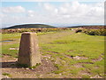 Trig Point, Black Hill in TA4 4AB