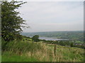 Upland pasture above Ubley beside the Limestone Link in BS40 6PE