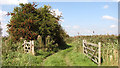 Open gate on the footpath to the River Bure, Upton Marshes in NR13 6EQ