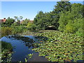 Pond at Great Dixter in TN31 6QD