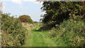 Footpath in the Upton Marshes in NR13 6EQ
