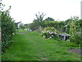 Trencherfield Allotments at Higham Hill in E17 5EE