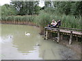 Feeding the birds on the lake in NP26 5JB