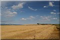Harvested Fields on the Tarbat Peninsula in IV20 1RG