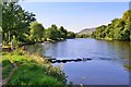 River Tay, Aberfeldy in PH15 2EU
