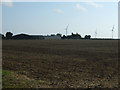 Field towards Walk Farm in Great Carlton