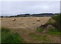Stubble and straw bales in DD7 7SE