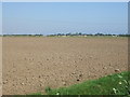 Flat field off North Road in LN12 2YB