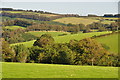 West Somerset : Countryside Scenery in TA24 7LY