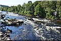 Rapids on the Tay, Grandtully in PH15 2QY