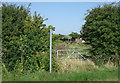 Footpath off Sea Road, Anderby in Anderby