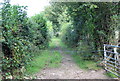 Footpath to Cyncoed Farm in NP11 3NR