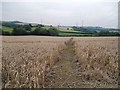 Path and Wheat Field at Calow Green in S44 5YX