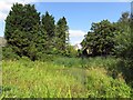 The village pond in Kirtlington in OX5 3HE
