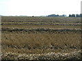 Harvested field near Willow Farm in LN13 9RJ