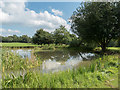 Pond on Hadley Green, Hadley Green Road, Barnet in EN5 5QJ