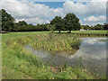 Pond on Hadley Green, Hadley Green Road, Barnet in EN5 5QD
