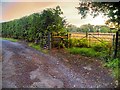Track, Gate and Field off Dawson Lane in PR7 7FP