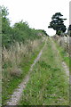 Bridleway towards Old Parks Farm in Ashby Money Hill Ward