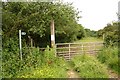 Footpath to Castle Hill in Reston