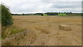 Harvested crop near Longslow, 1 in TF9 3QY