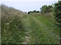 Bridleway between New Town and Hinton Martell in BH21 5DE