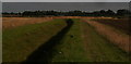 View from Howell Fen Drove towards Bicker Fen Windfarm in Asgarby and Howell