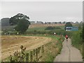 Cycle path beside the A1068 in Alnmouth