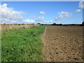 Bridleway to Winterborne Zelston in DT11 9EY