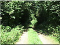 Bridleway to Winterborne Zelston in DT11 9ET