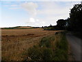 Farm road to Kininmonth in KY15 5TU
