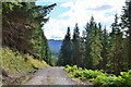 Forestry road above Strathyre in FK18 8ND
