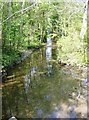 Stream out of Cherington Pond in GL8 8NZ