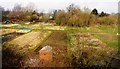 Allotments, Southcote in RG30 3JL