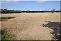 Stubble field near Charingworth in GL55 6XX