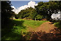 North Devon : Grassy Path in EX36 4DZ