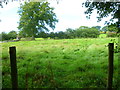 Footpath crosses field south of Ashurst in BN44 3AY