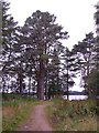 Approach to Loch of Skene in AB32 6SH