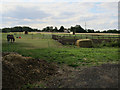 Horse paddocks, Church End in CB24 4QJ