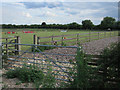 Horse area on Cow Fen in CB24 4RZ