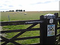 Warning sheep grazing, in case you hadn't noticed the sheep grazing in SN9 6HH