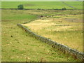 Dry stone wall between B6255 and River Doe in LA6 3AP