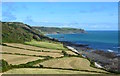 Coastal farmland by Hine Hill, Devon in TQ7 2DD